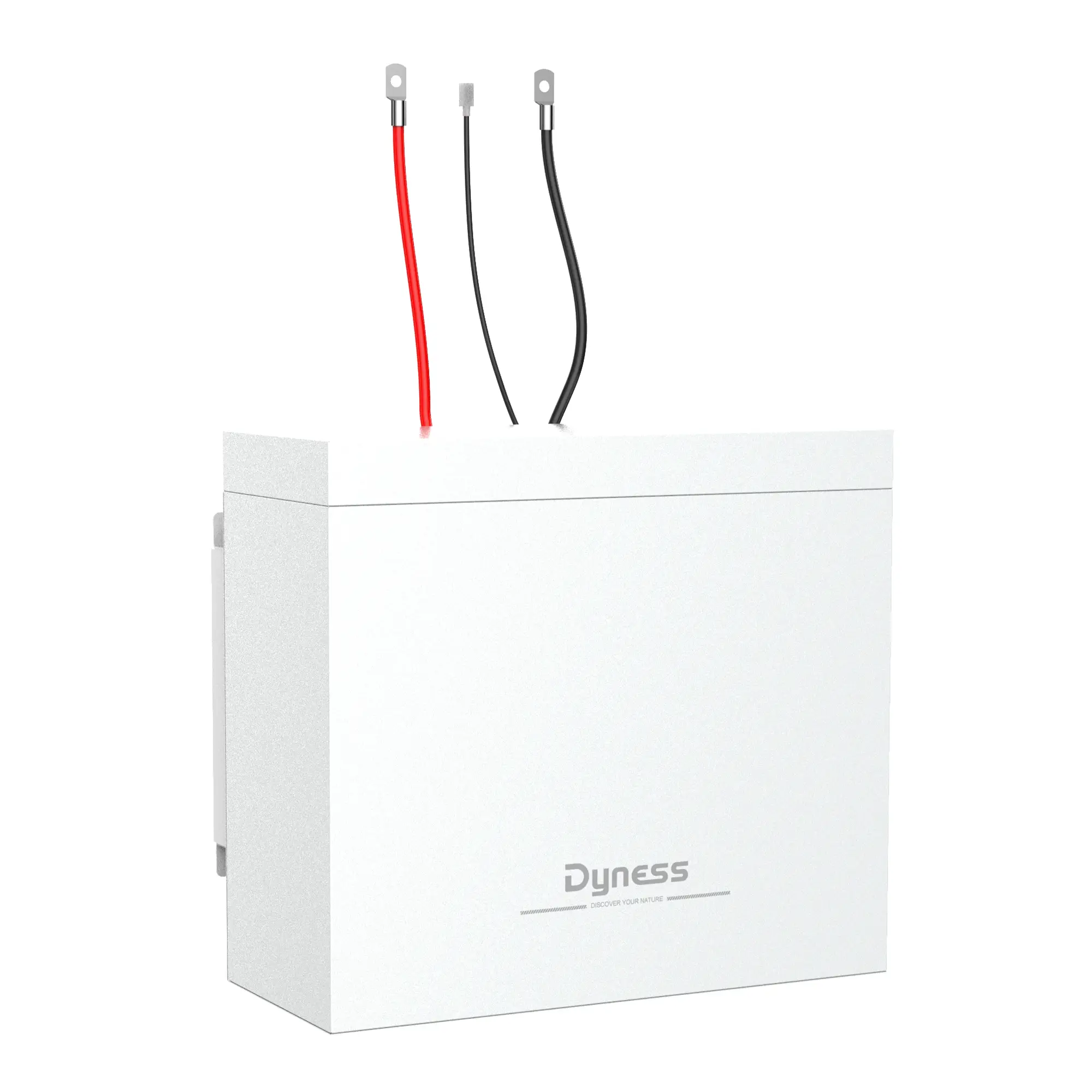 Акумуляторний модуль Dyness BOX 2xB4850 48V 100Ah 4.8kWh LiFePo4 (2xB4850)